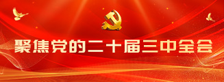 聚焦党的二十届三中全会