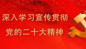  扎实推进全面从严治党工作确保全年目标任务完美收官