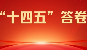  “十四五”答卷 | 甘肃国际物流集团陆海新通道甘肃公司：融通陆海 链接欧亚 铸就发展新篇章