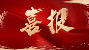  甘肃国际物流集团工会荣获“2025年度全省工会系统优秀集体”称号